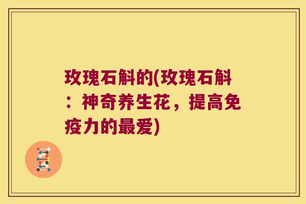 玫瑰石斛的(玫瑰石斛：神奇养生花，提高免疫力的最爱)