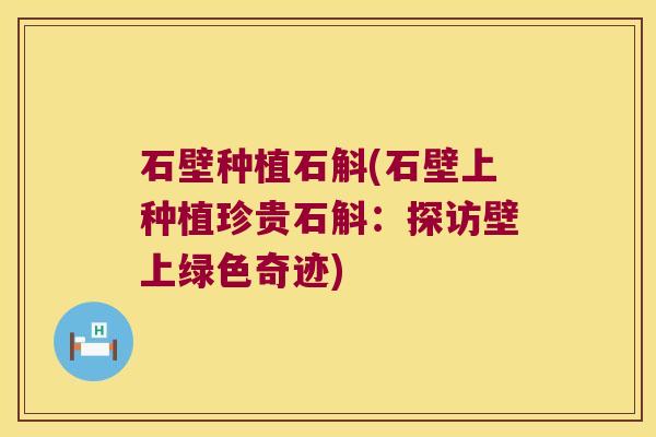 石壁种植石斛(石壁上种植珍贵石斛：探访壁上绿色奇迹)