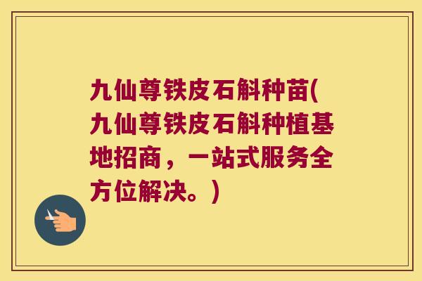 九仙尊铁皮石斛种苗(九仙尊铁皮石斛种植基地招商，一站式服务全方位解决。)