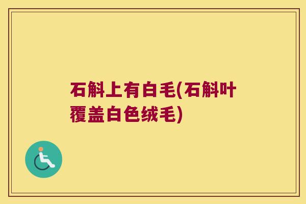 石斛上有白毛(石斛叶覆盖白色绒毛)