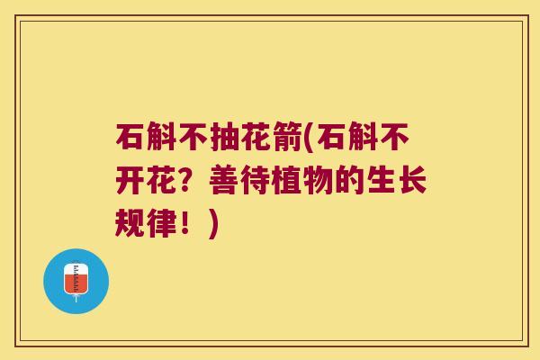 石斛不抽花箭(石斛不开花？善待植物的生长规律！)