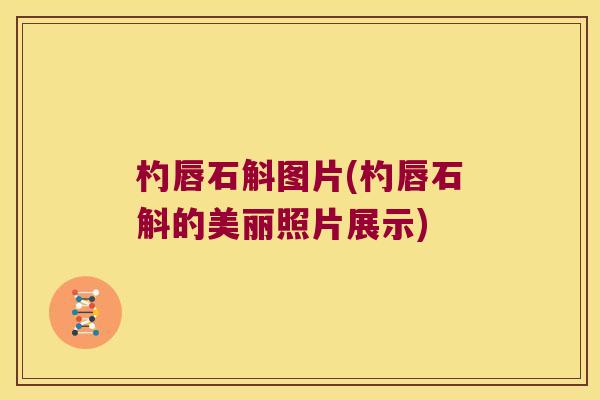 杓唇石斛图片(杓唇石斛的美丽照片展示)