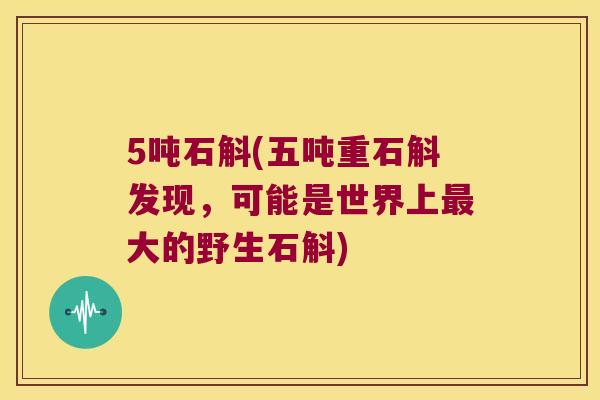 5吨石斛(五吨重石斛发现，可能是世界上最大的野生石斛)