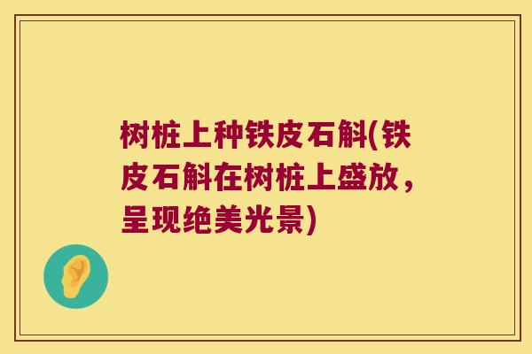 树桩上种铁皮石斛(铁皮石斛在树桩上盛放，呈现绝美光景)