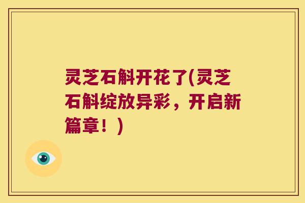灵芝石斛开花了(灵芝石斛绽放异彩,开启新篇章!) 灵芝石斛开花了(灵芝石斛绽放异彩,开启新篇章!)