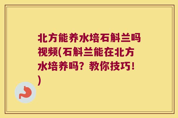 北方能养水培石斛兰吗视频(石斛兰能在北方水培养吗？教你技巧！)