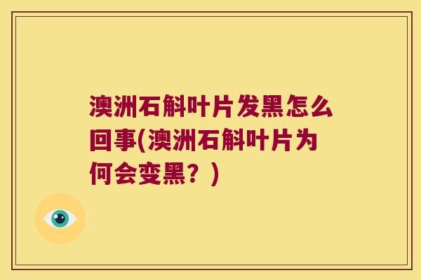 澳洲石斛叶片发黑怎么回事(澳洲石斛叶片为何会变黑？)