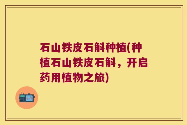石山铁皮石斛种植(种植石山铁皮石斛，开启药用植物之旅)