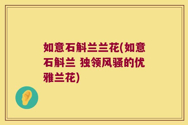 如意石斛兰兰花(如意石斛兰 独领风骚的优雅兰花)