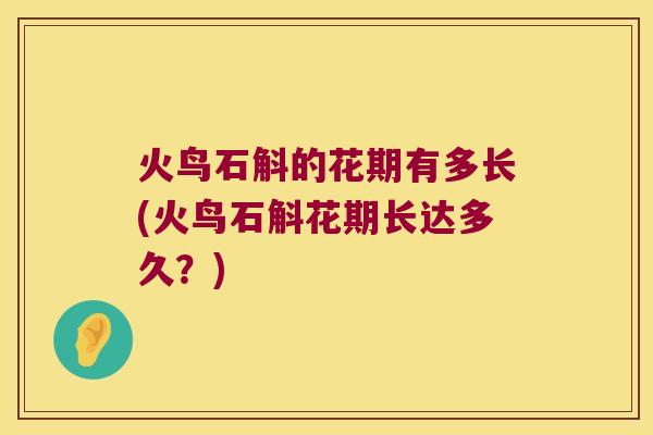 火鸟石斛的花期有多长(火鸟石斛花期长达多久？)