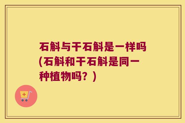 石斛与干石斛是一样吗(石斛和干石斛是同一种植物吗？)