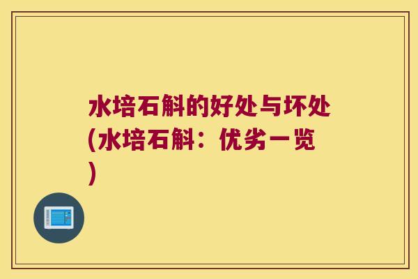水培石斛的好处与坏处(水培石斛：优劣一览)