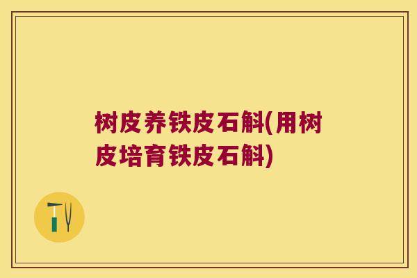 树皮养铁皮石斛(用树皮培育铁皮石斛)