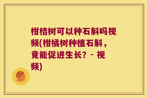 柑桔树可以种石斛吗视频(柑橘树种植石斛，竟能促进生长？- 视频)