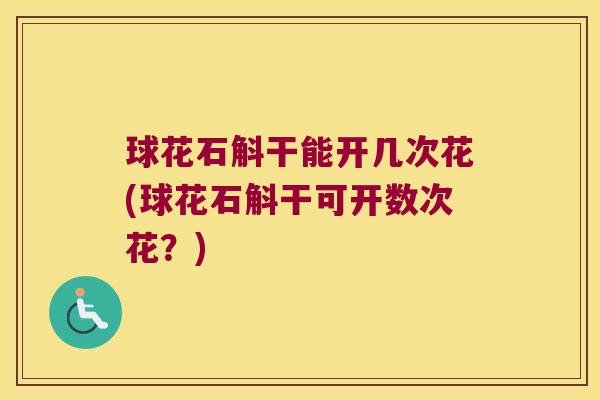 球花石斛干能开几次花(球花石斛干可开数次花？)