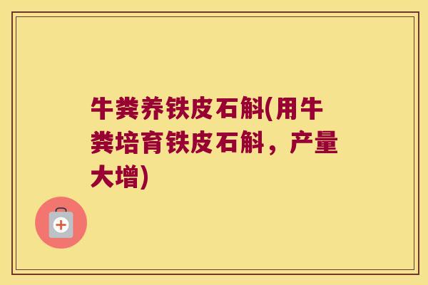 牛粪养铁皮石斛(用牛粪培育铁皮石斛，产量大增)