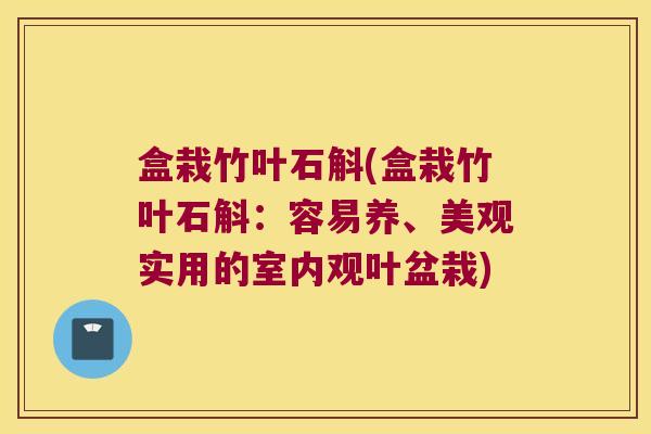 盒栽竹叶石斛(盒栽竹叶石斛：容易养、美观实用的室内观叶盆栽)