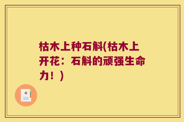 枯木上种石斛(枯木上开花：石斛的顽强生命力！)