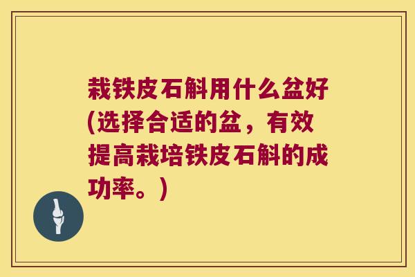 栽铁皮石斛用什么盆好(选择合适的盆，有效提高栽培铁皮石斛的成功率。)