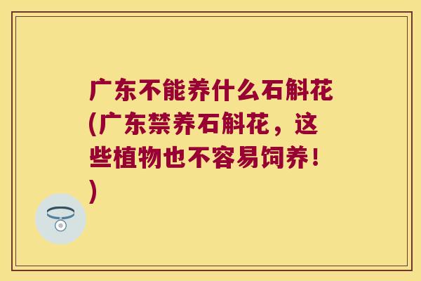 广东不能养什么石斛花(广东禁养石斛花，这些植物也不容易饲养！)