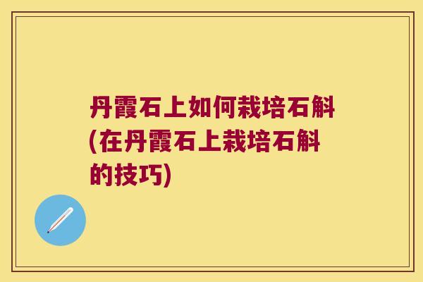 丹霞石上如何栽培石斛(在丹霞石上栽培石斛的技巧)