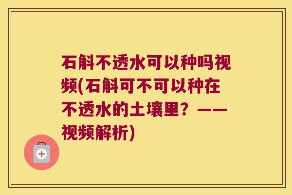 石斛不透水可以种吗视频(石斛可不可以种在不透水的土壤里？——视频解析)