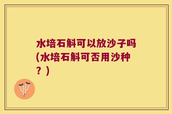 水培石斛可以放沙子吗(水培石斛可否用沙种？)