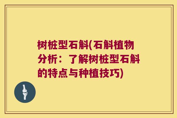 树桩型石斛(石斛植物分析：了解树桩型石斛的特点与种植技巧)