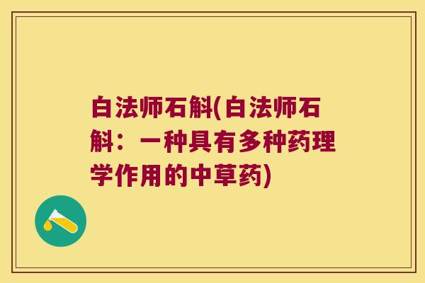 白法师石斛(白法师石斛:一种具有多种药理学作用的中草药) 白法师石斛(白法师石斛:一种具有多种药理学作用的中草药)