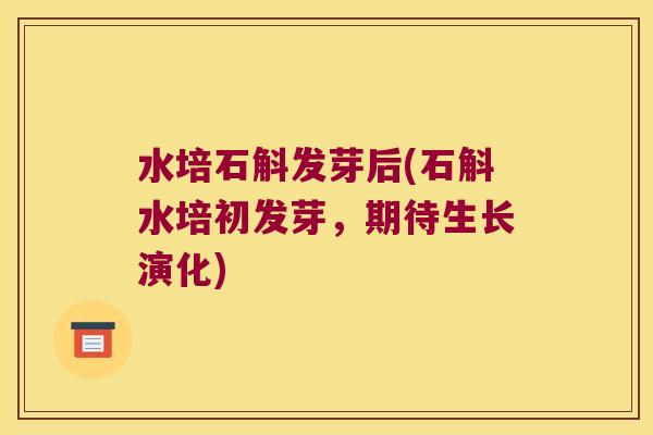 水培石斛发芽后(石斛水培初发芽，期待生长演化)