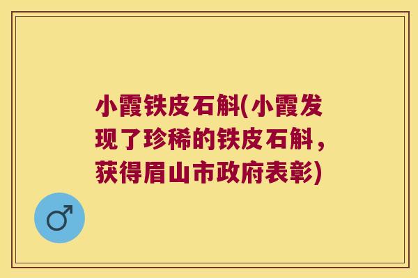 小霞铁皮石斛(小霞发现了珍稀的铁皮石斛，获得眉山市政府表彰)