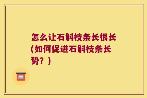 怎么让石斛枝条长很长(如何促进石斛枝条长势？)