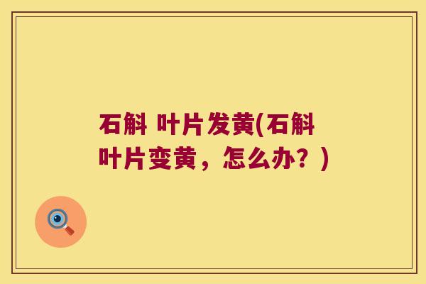 石斛 叶片发黄(石斛叶片变黄，怎么办？)