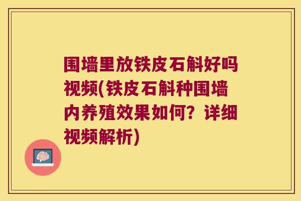 围墙里放铁皮石斛好吗视频(铁皮石斛种围墙内养殖效果如何？详细视频解析)