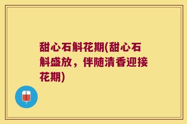 甜心石斛花期(甜心石斛盛放，伴随清香迎接花期)