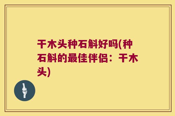 干木头种石斛好吗(种石斛的最佳伴侣：干木头)