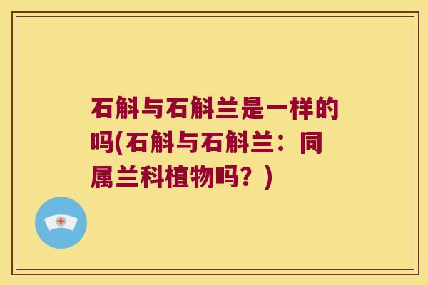 石斛与石斛兰是一样的吗(石斛与石斛兰：同属兰科植物吗？)