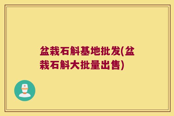 盆栽石斛基地批发(盆栽石斛大批量出售)