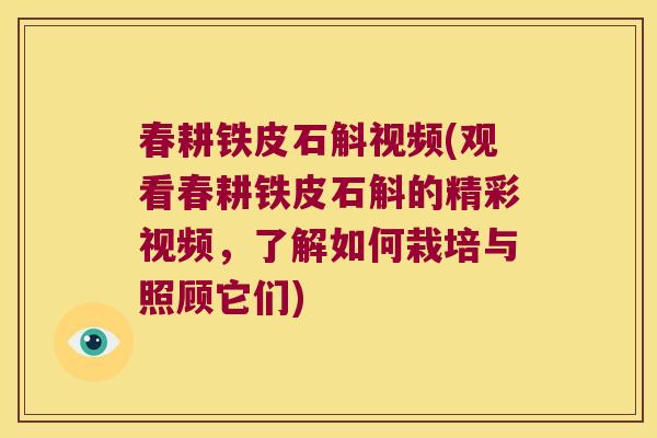 春耕铁皮石斛视频(观看春耕铁皮石斛的精彩视频，了解如何栽培与照顾它们)