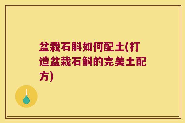 盆栽石斛如何配土(打造盆栽石斛的完美土配方)