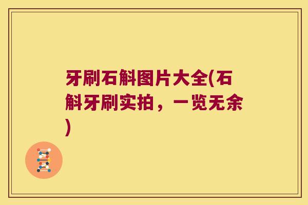牙刷石斛图片大全(石斛牙刷实拍，一览无余)