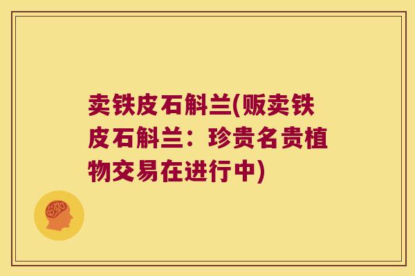 卖铁皮石斛兰(贩卖铁皮石斛兰：珍贵名贵植物交易在进行中)