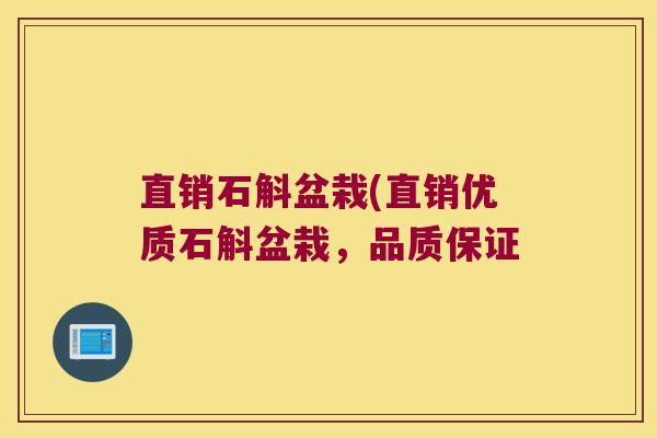 直销石斛盆栽(直销优质石斛盆栽，品质保证