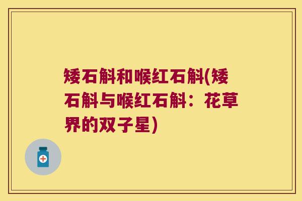 矮石斛和喉红石斛(矮石斛与喉红石斛：花草界的双子星)