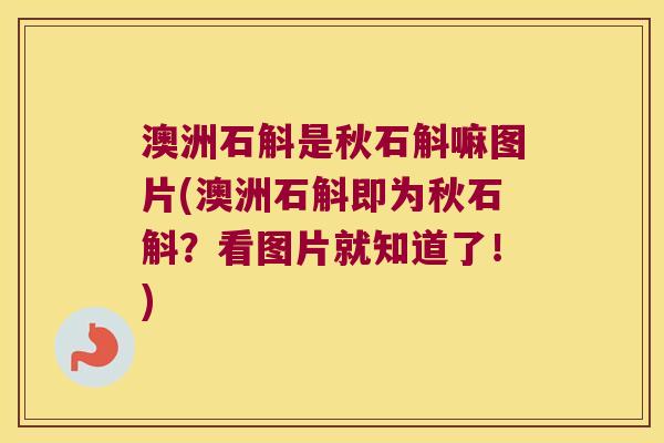 澳洲石斛是秋石斛嘛图片(澳洲石斛即为秋石斛？看图片就知道了！)