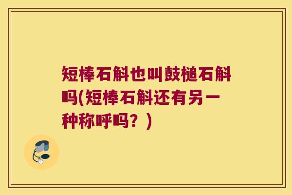 短棒石斛也叫鼓槌石斛吗(短棒石斛还有另一种称呼吗？)