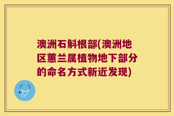 澳洲石斛根部(澳洲地区蕙兰属植物地下部分的命名方式新近发现)