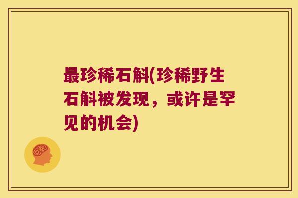 最珍稀石斛(珍稀野生石斛被发现，或许是罕见的机会)