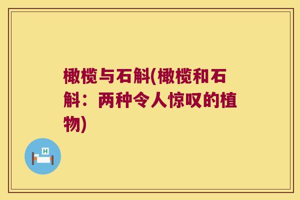 橄榄与石斛(橄榄和石斛：两种令人惊叹的植物)