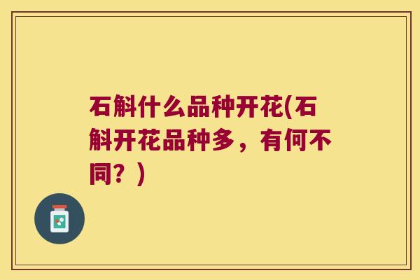 石斛什么品种开花(石斛开花品种多，有何不同？)